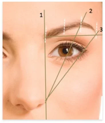 Stap 2: Haarlijn Ontwerp & Verdoving